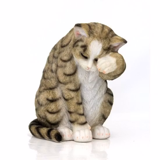 Katte sidder, grå