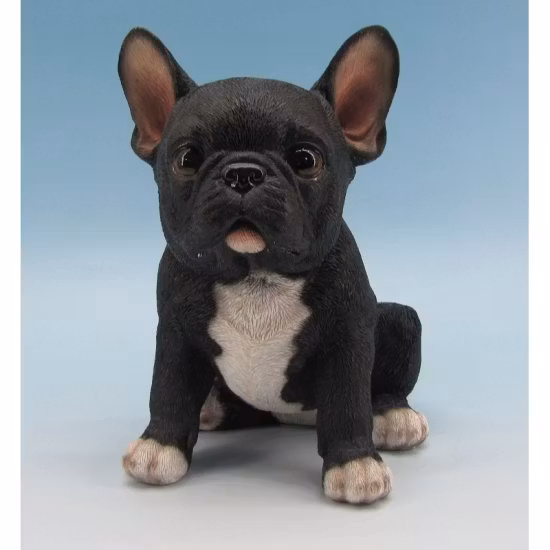 Franz. Bulldog sidder sort