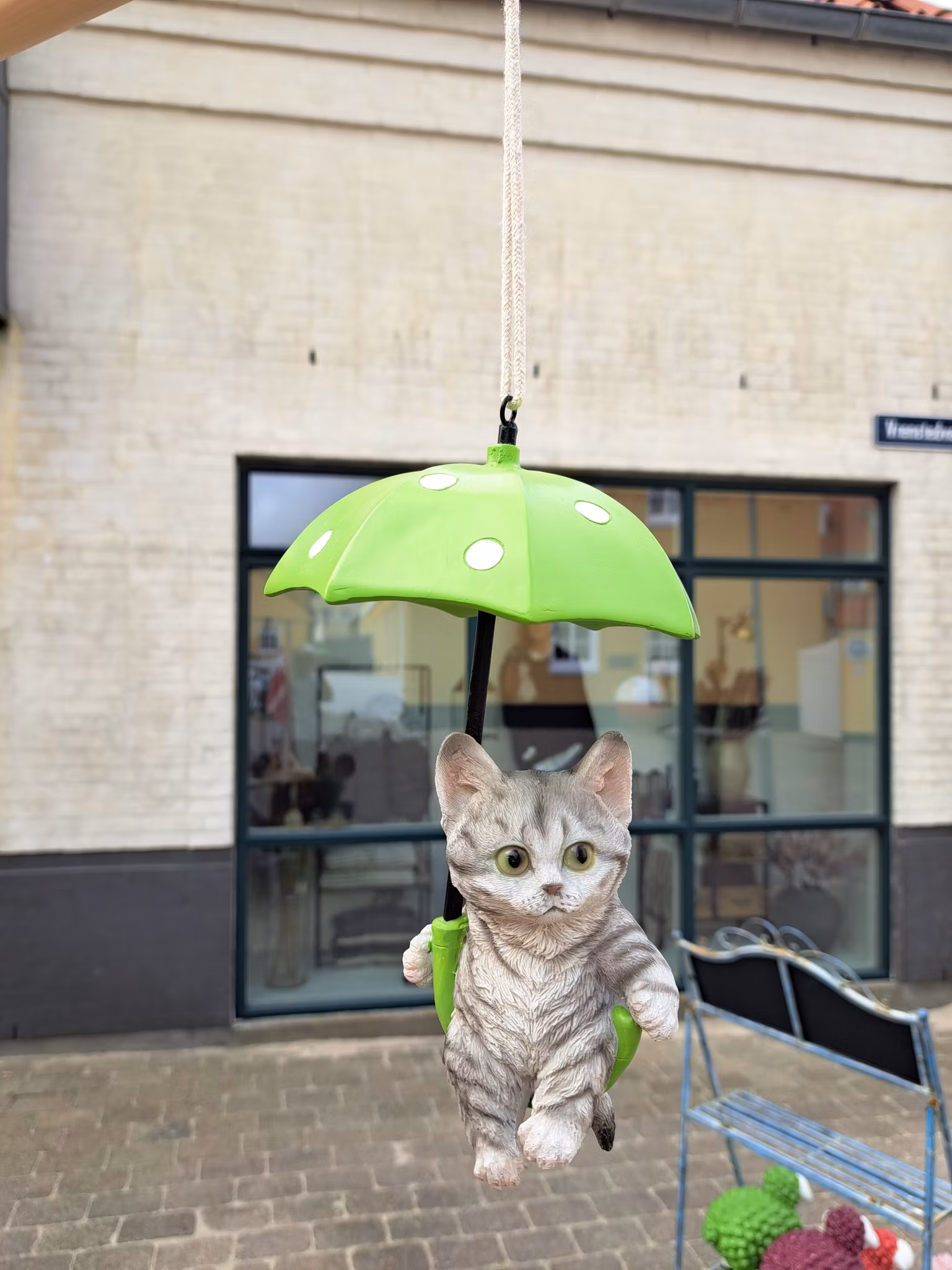 Kat med paraplygrøn