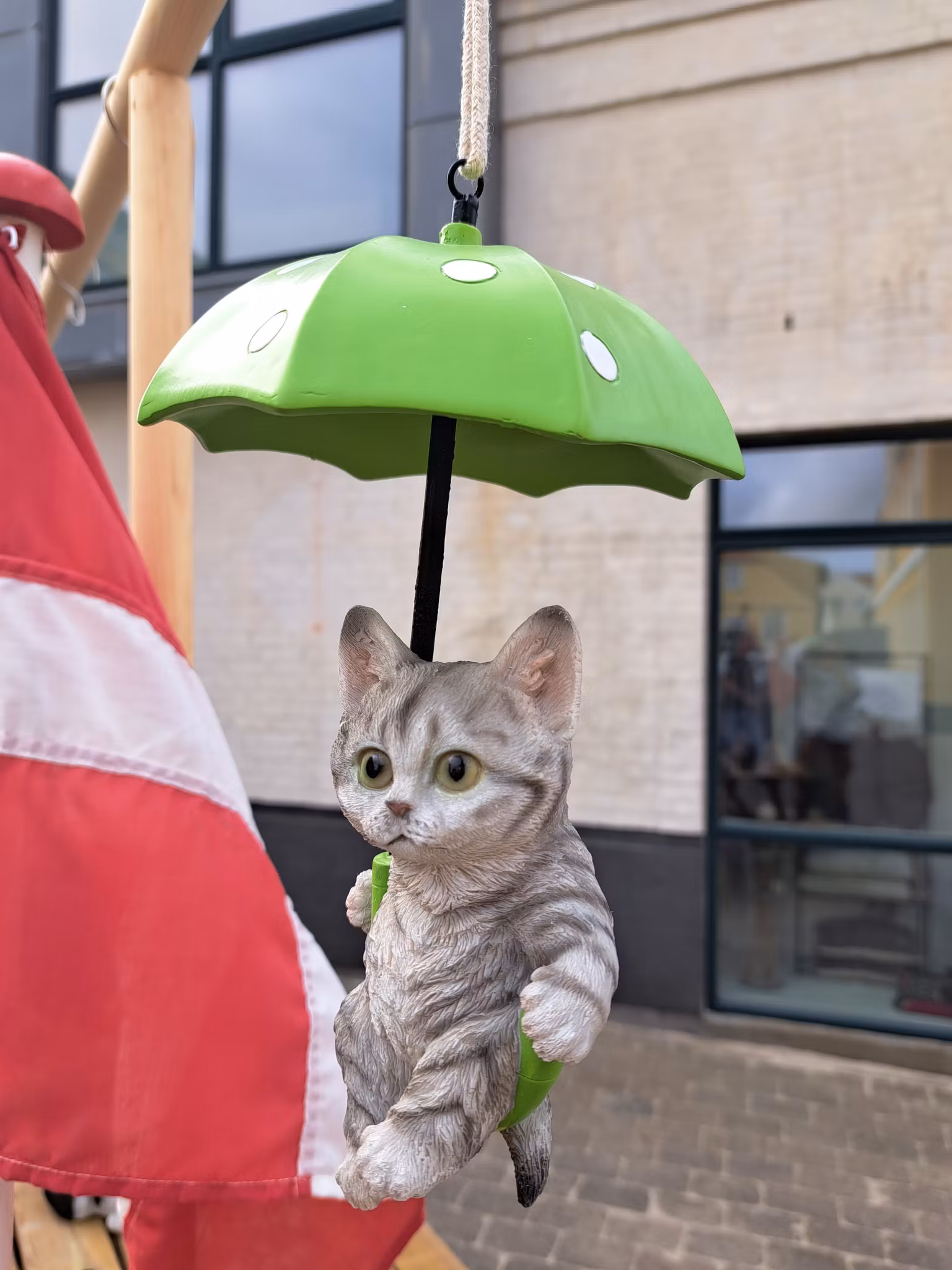 Kat med paraplygrøn