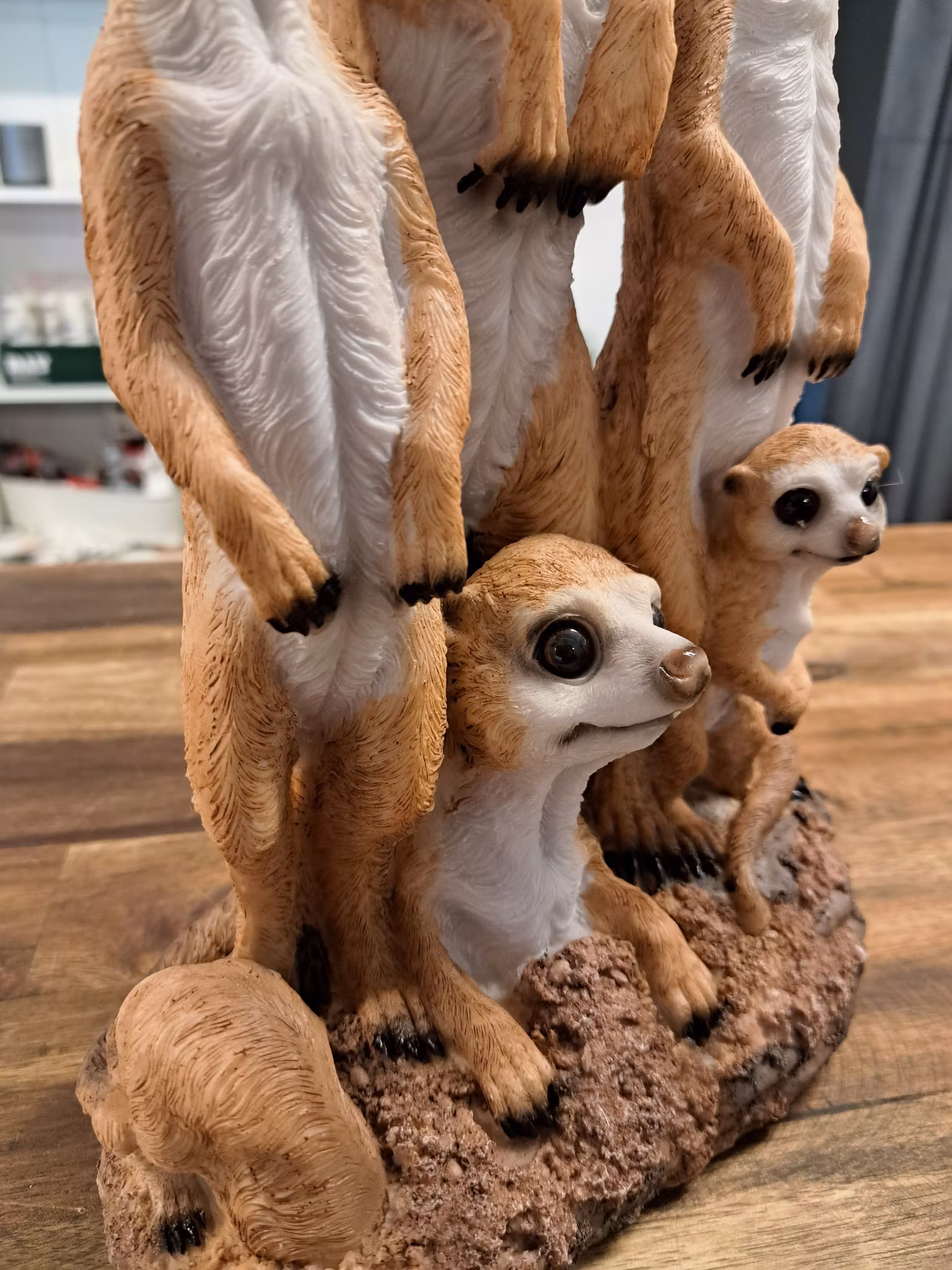 Meerkat-familien