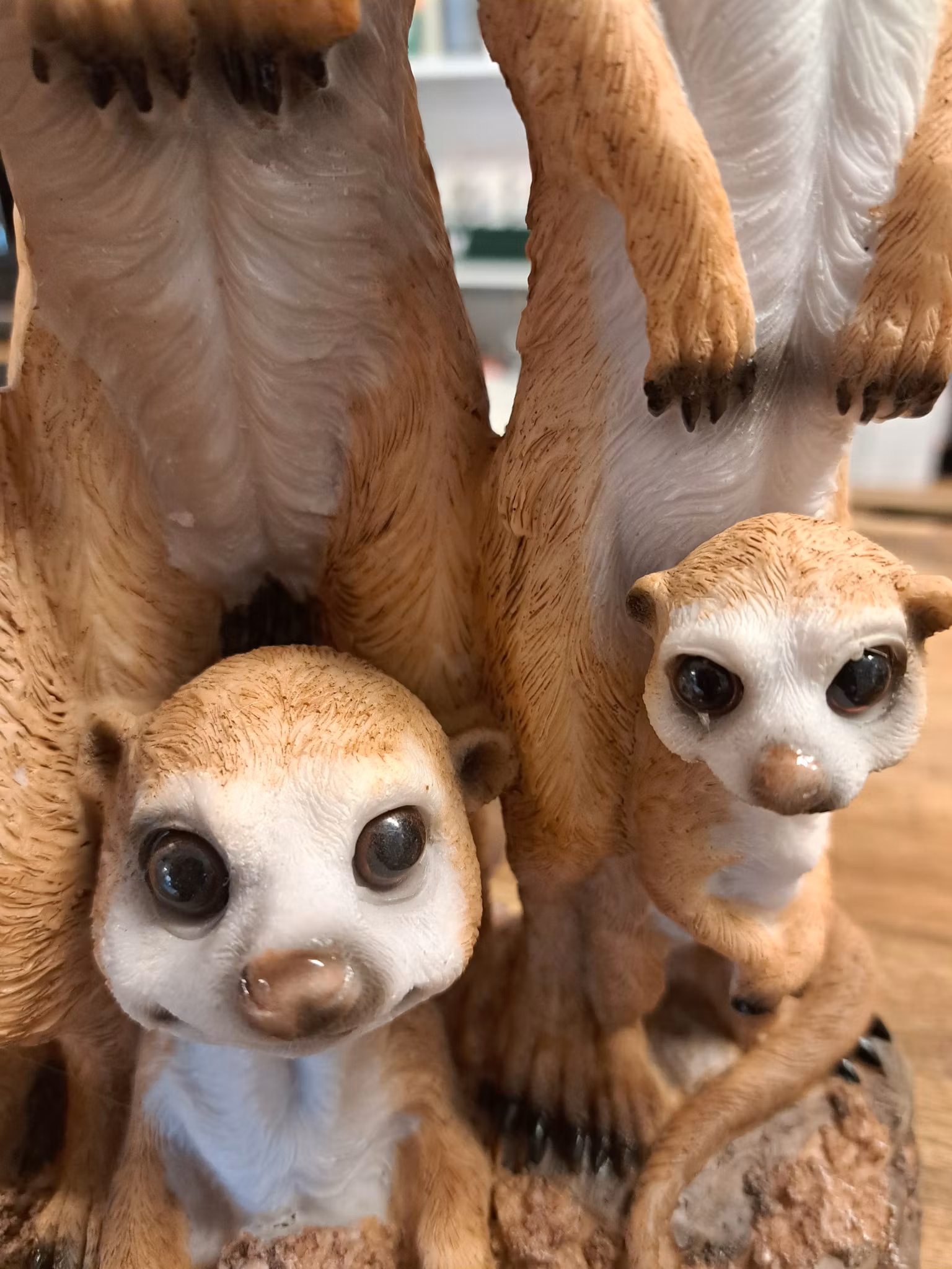 Meerkat-familien