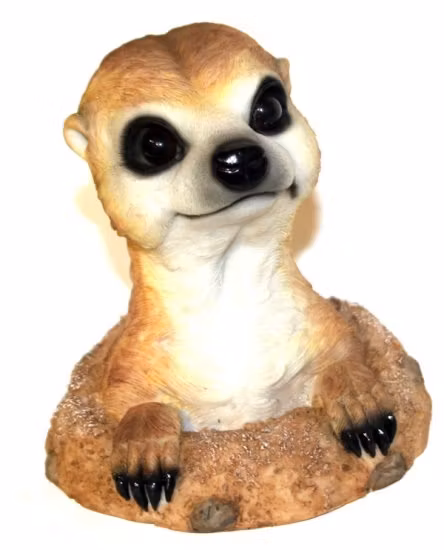 Meerkat grave