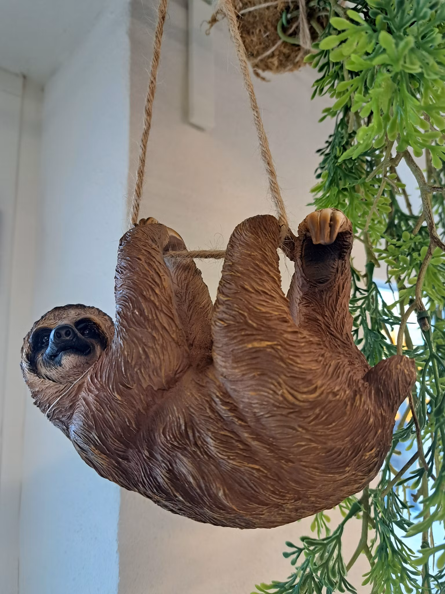 Dovendyr hængende