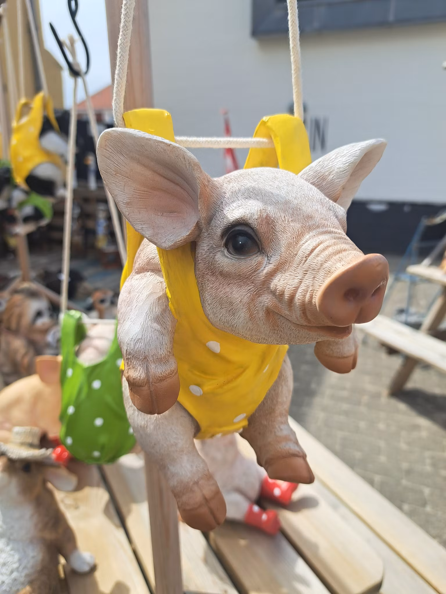 Gris med gul rygsæk