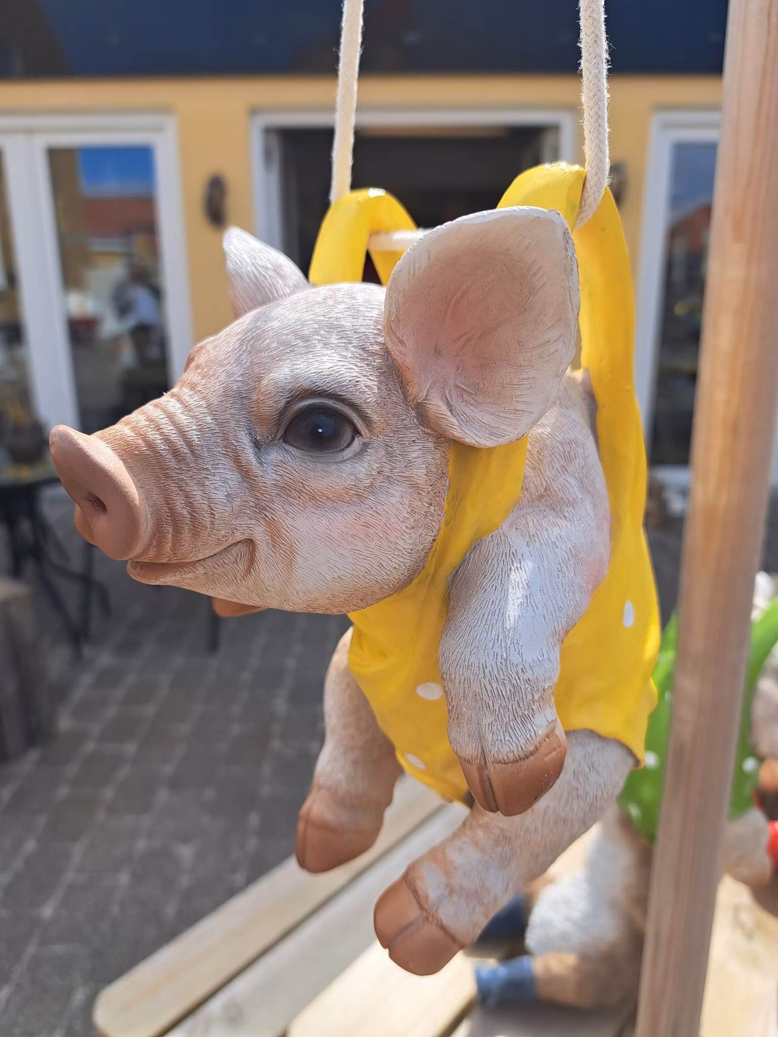 Gris med gul rygsæk