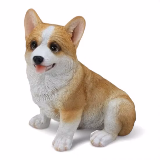 Corgi sidder