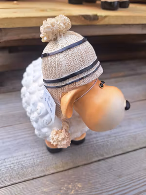 Får med en strikket hat