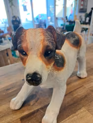 Jack Russell
