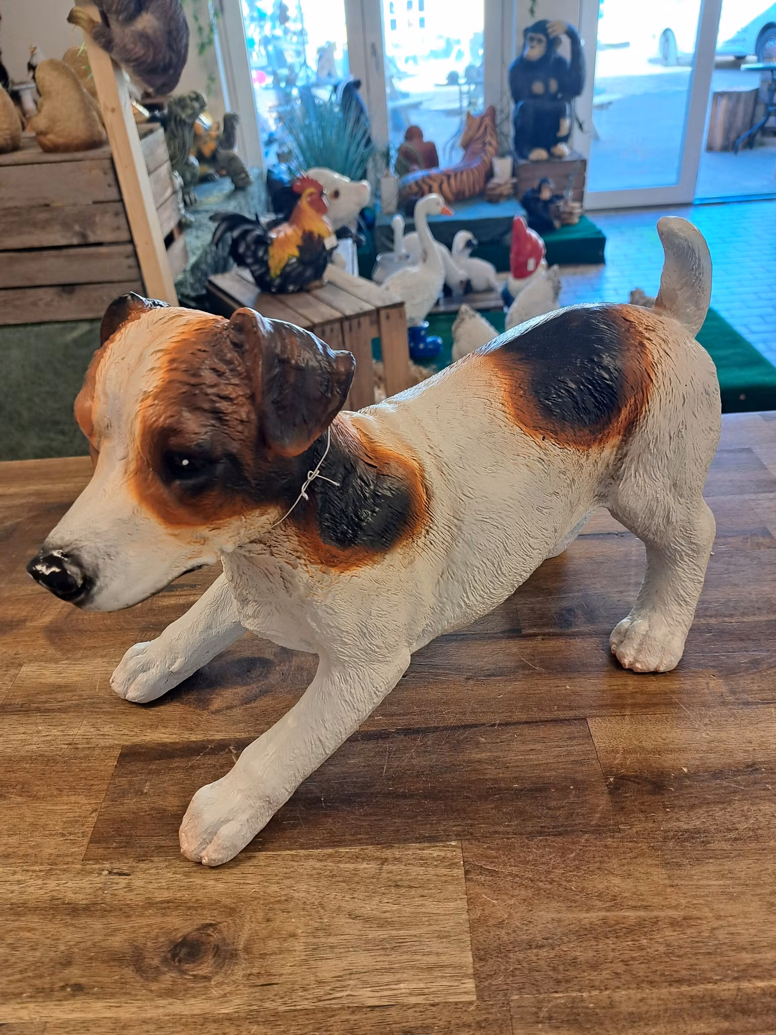 Jack Russell