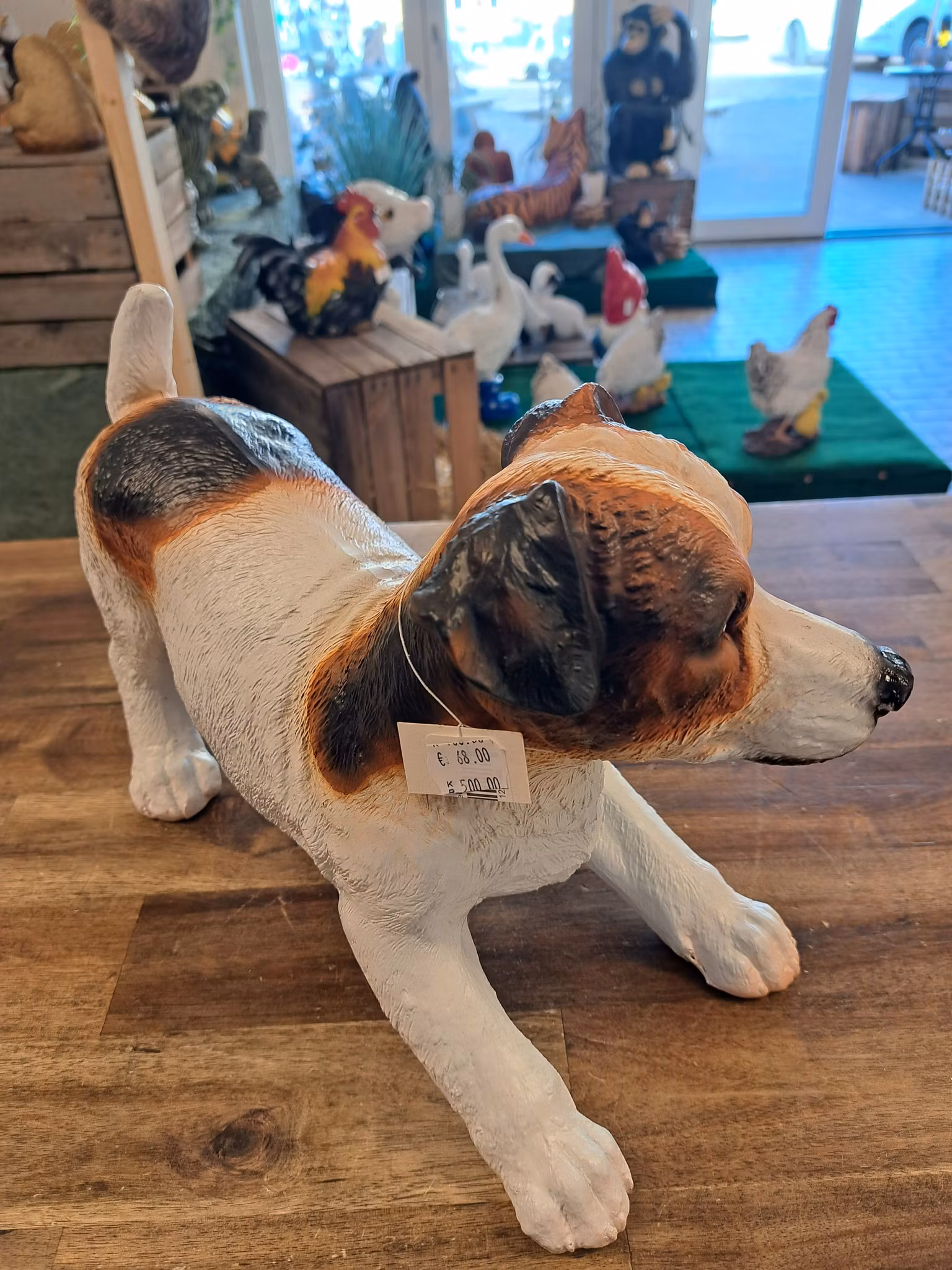 Jack Russell