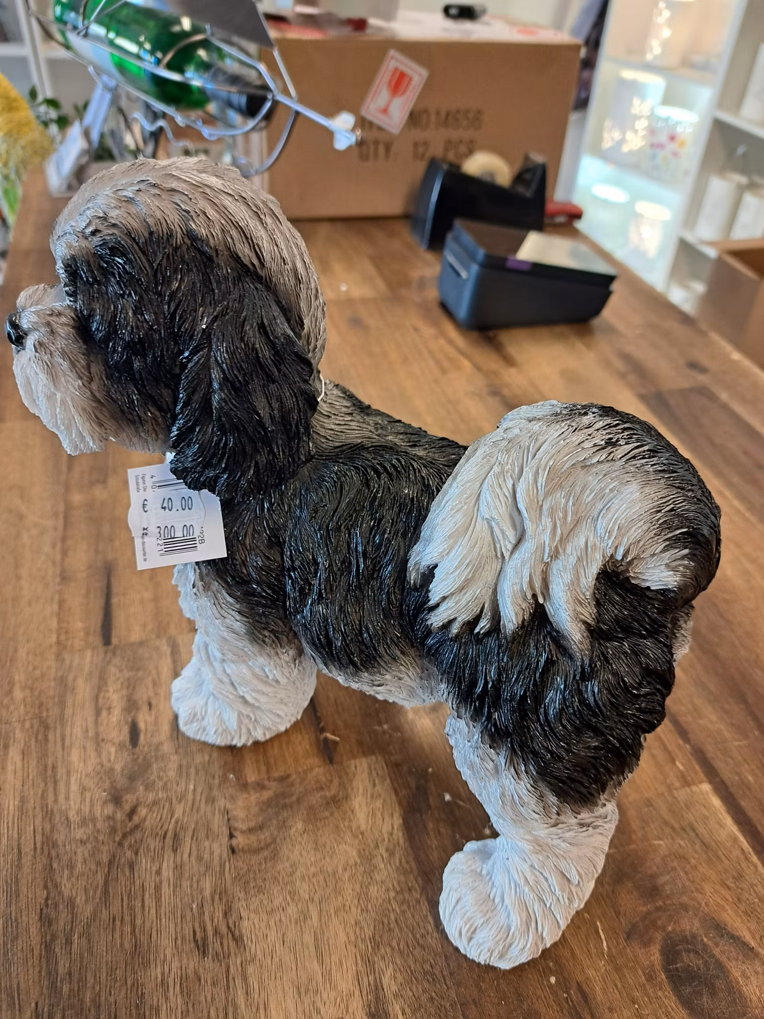 Shi Tzu hvalp sort