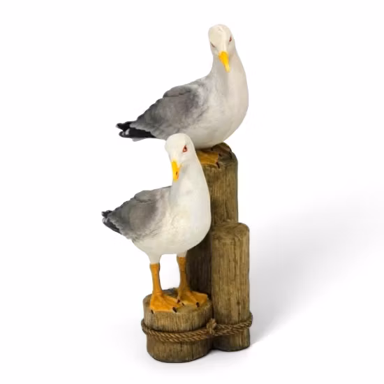 Måger på stammen