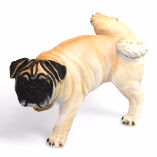 Mops tis