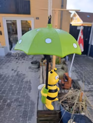 Bi med paraply