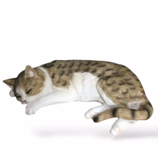 Kat sover