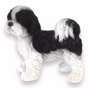 Shi Tzu hvalp sort