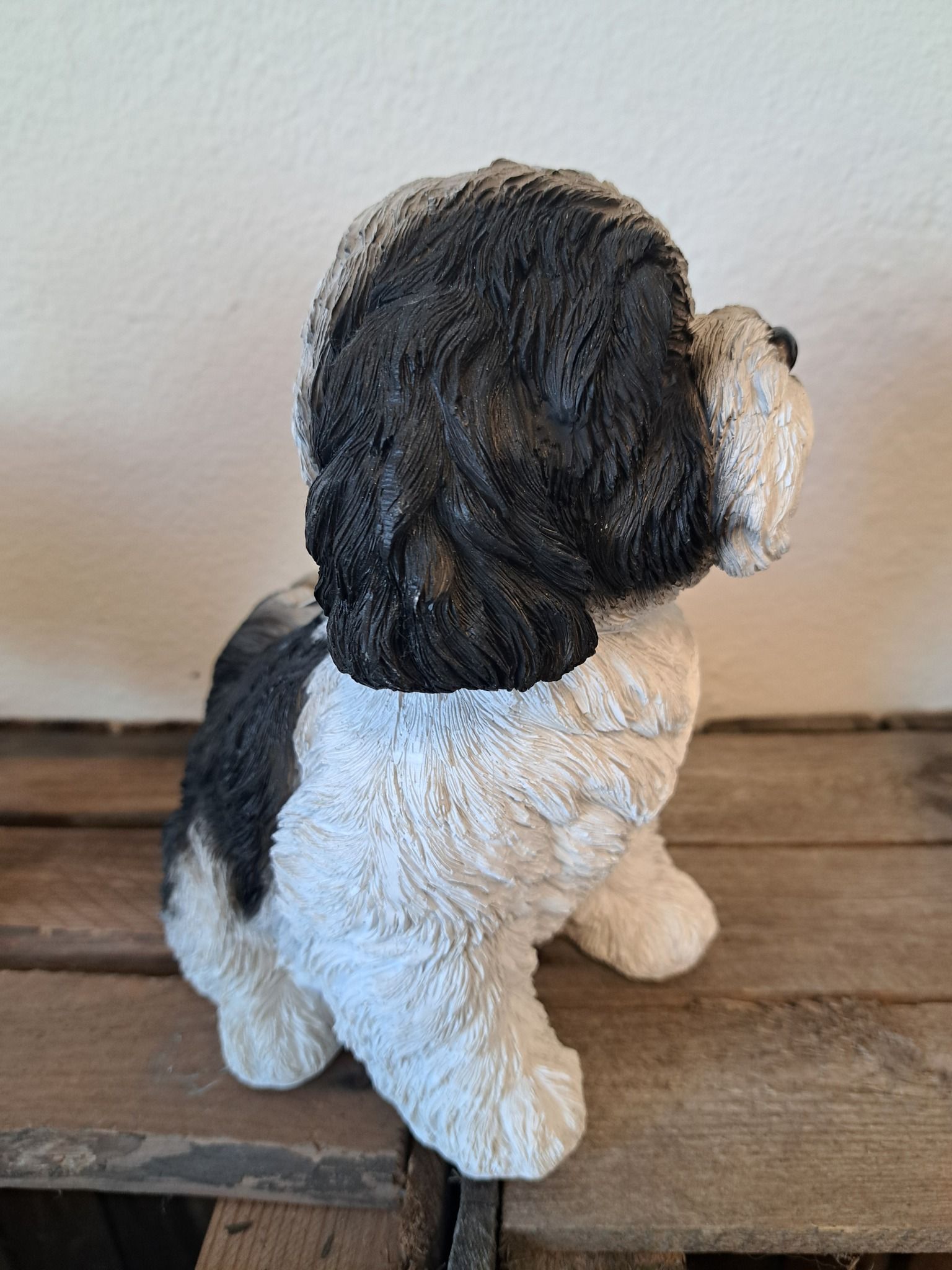 Shi Tzu hvalp sort