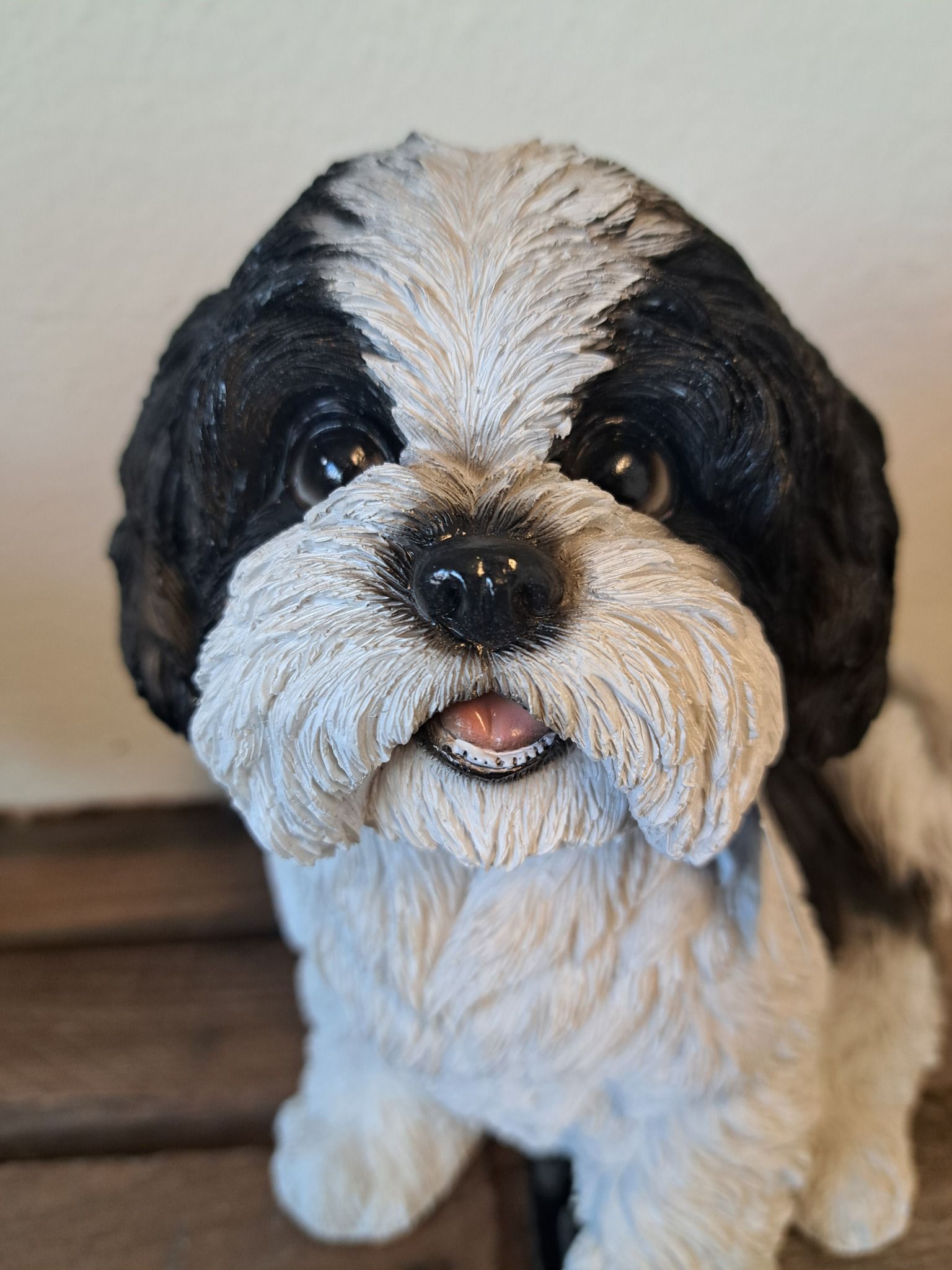 Shi Tzu hvalp sort