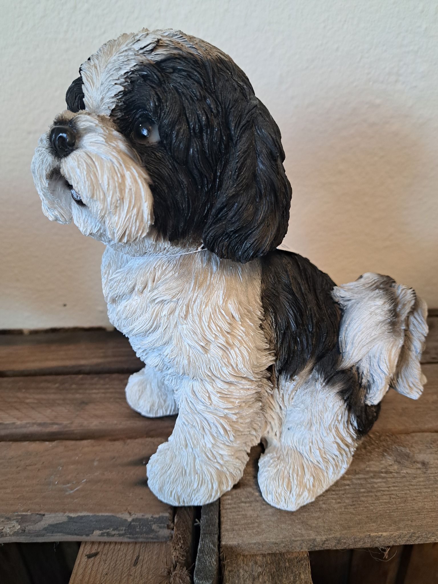 Shi Tzu hvalp sort