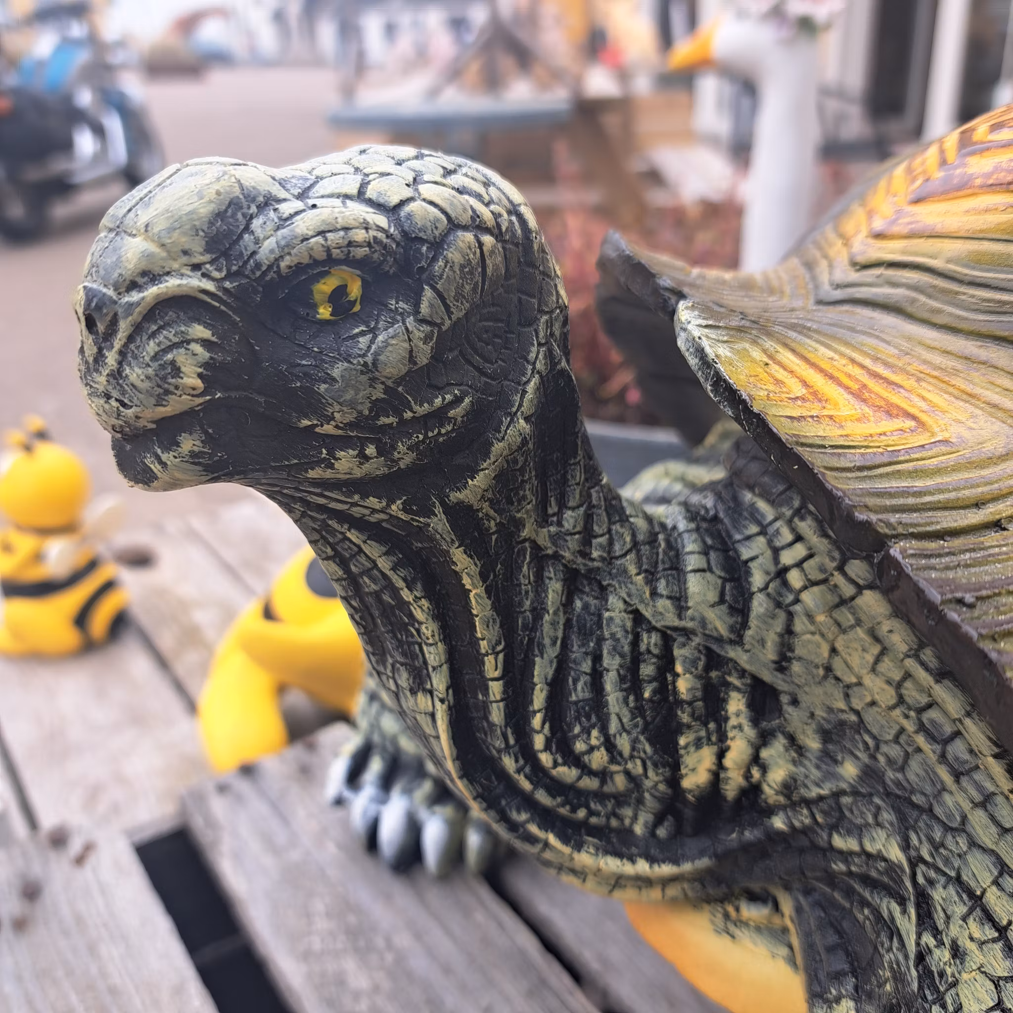 Skildpadde medium