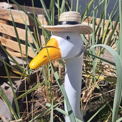 Gåsehoved med hat