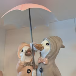 Ænder med paraply
