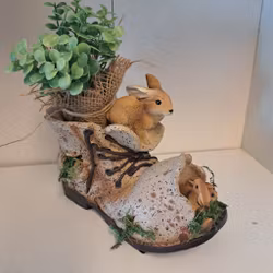 Plantesko med kaninfamilie