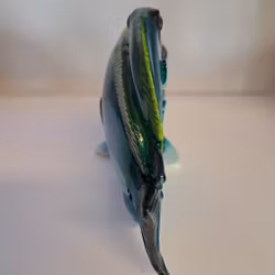 Doktorfisk