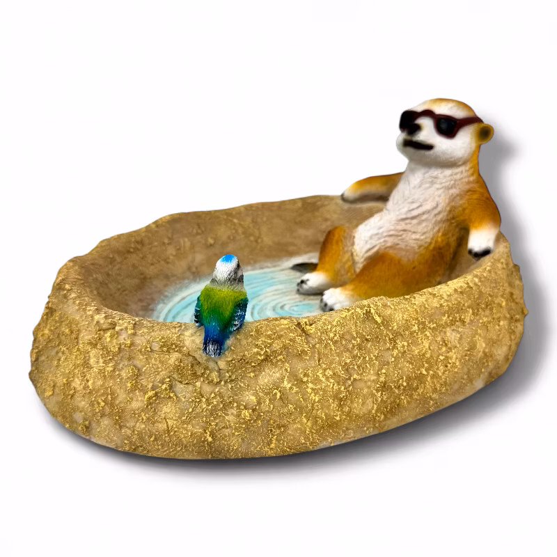 Surikater vandtrug