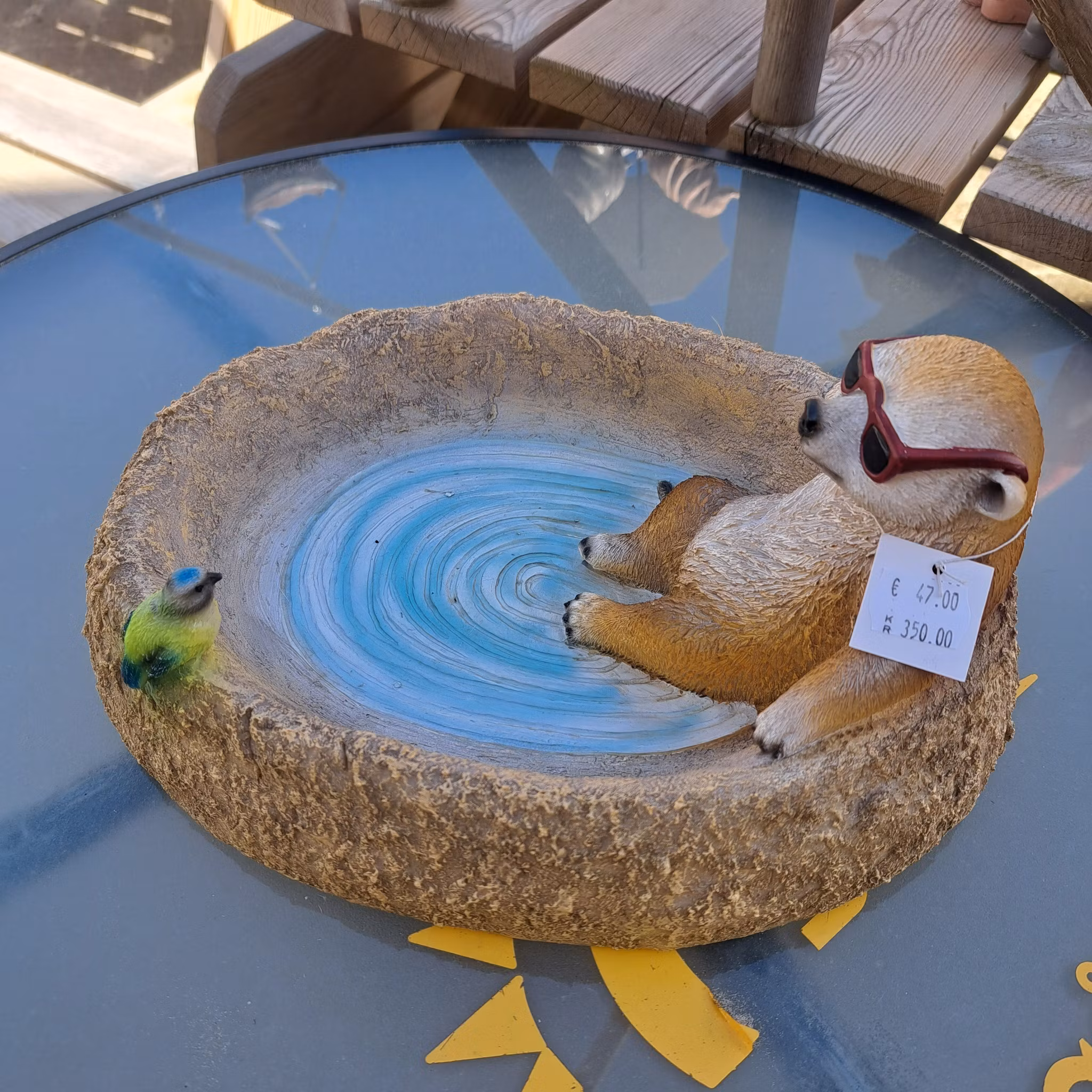 Surikater vandtrug