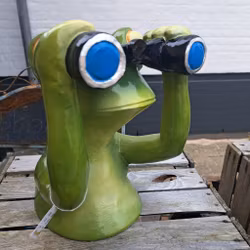 Frø spænder