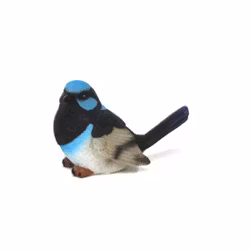 Fugl