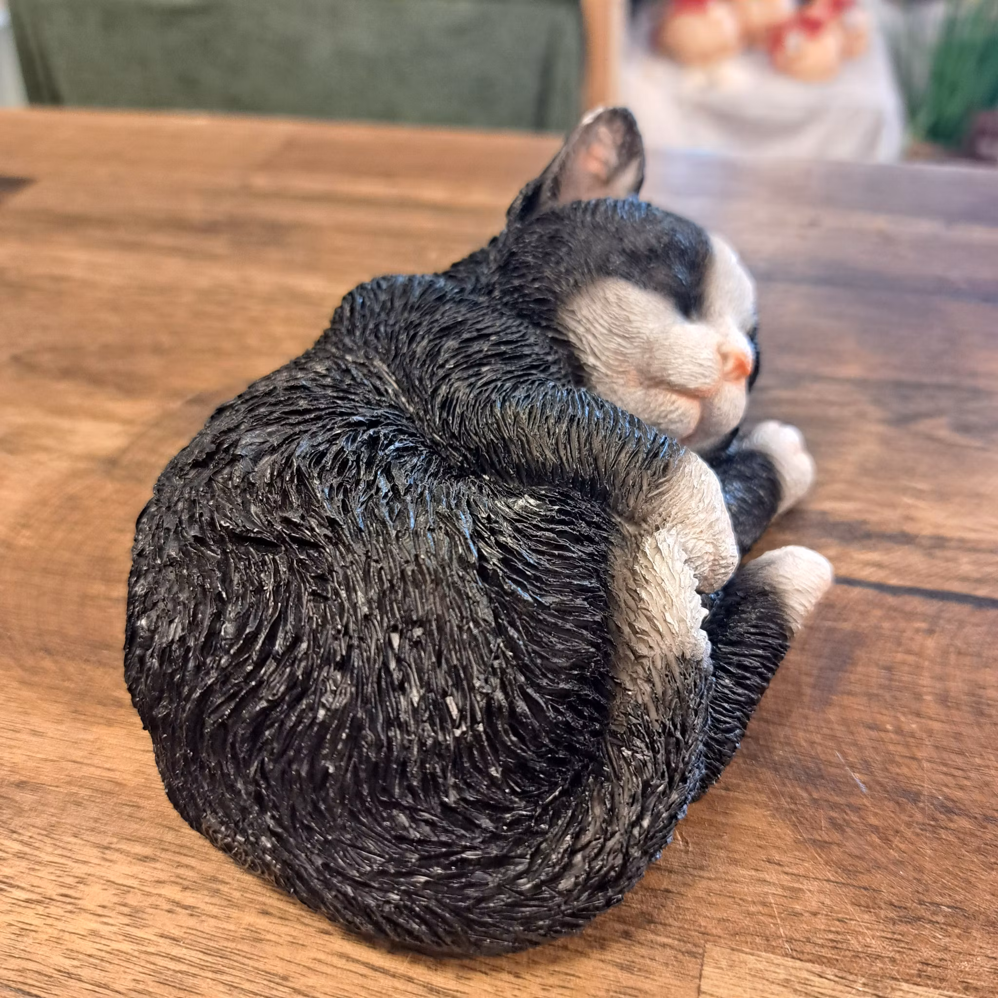 Sovende kat Sort og hvid