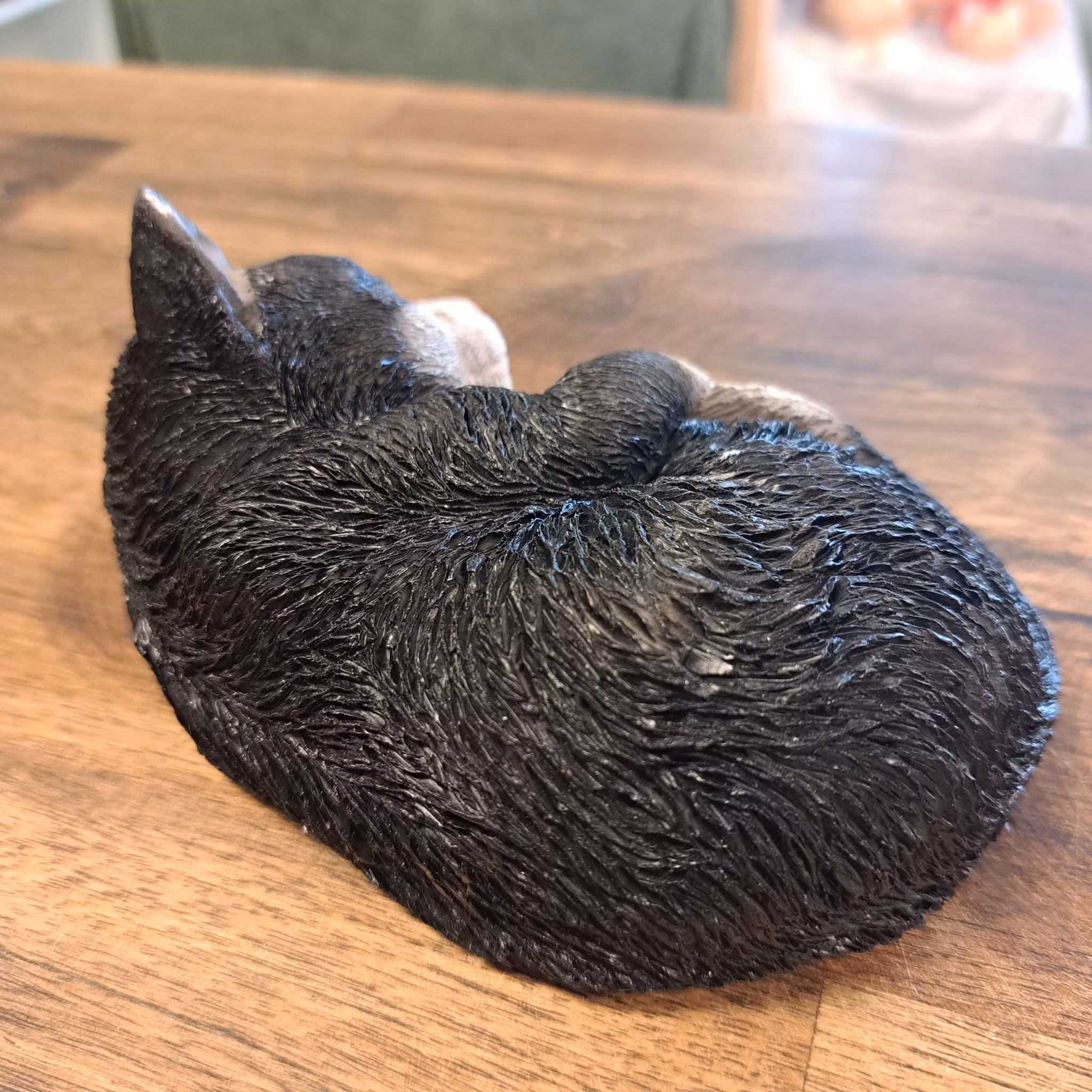 Sovende kat Sort og hvid