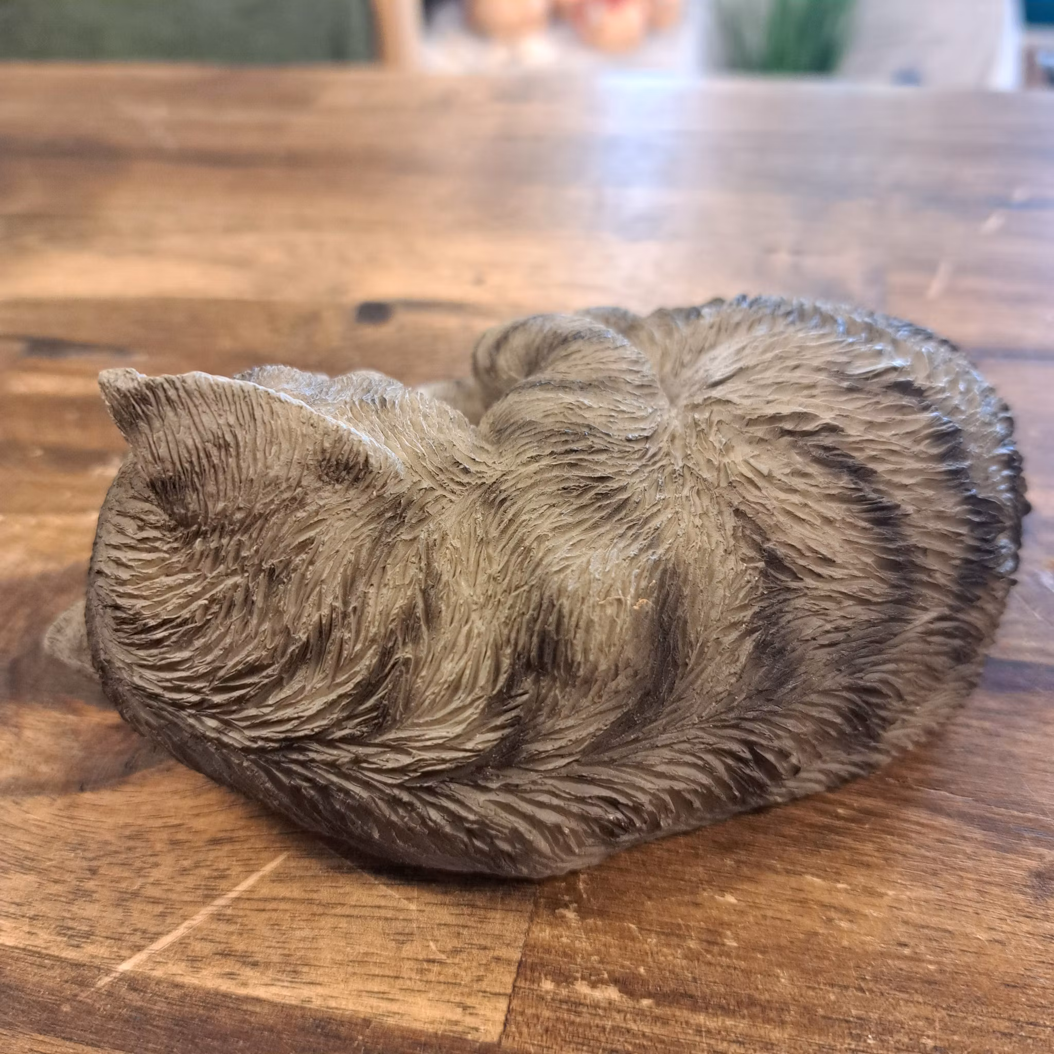 Sovende kat grå