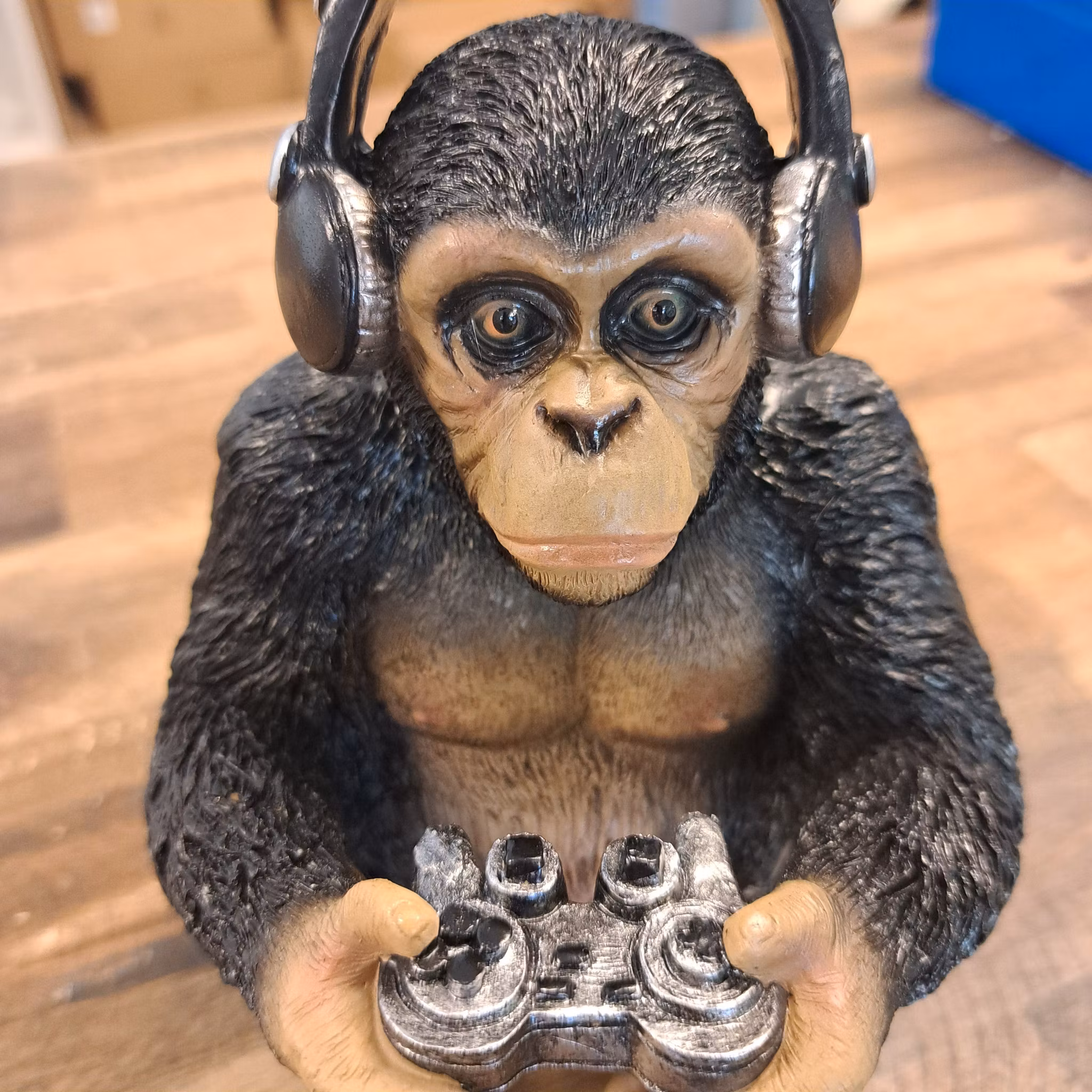 Legende chimpanse
