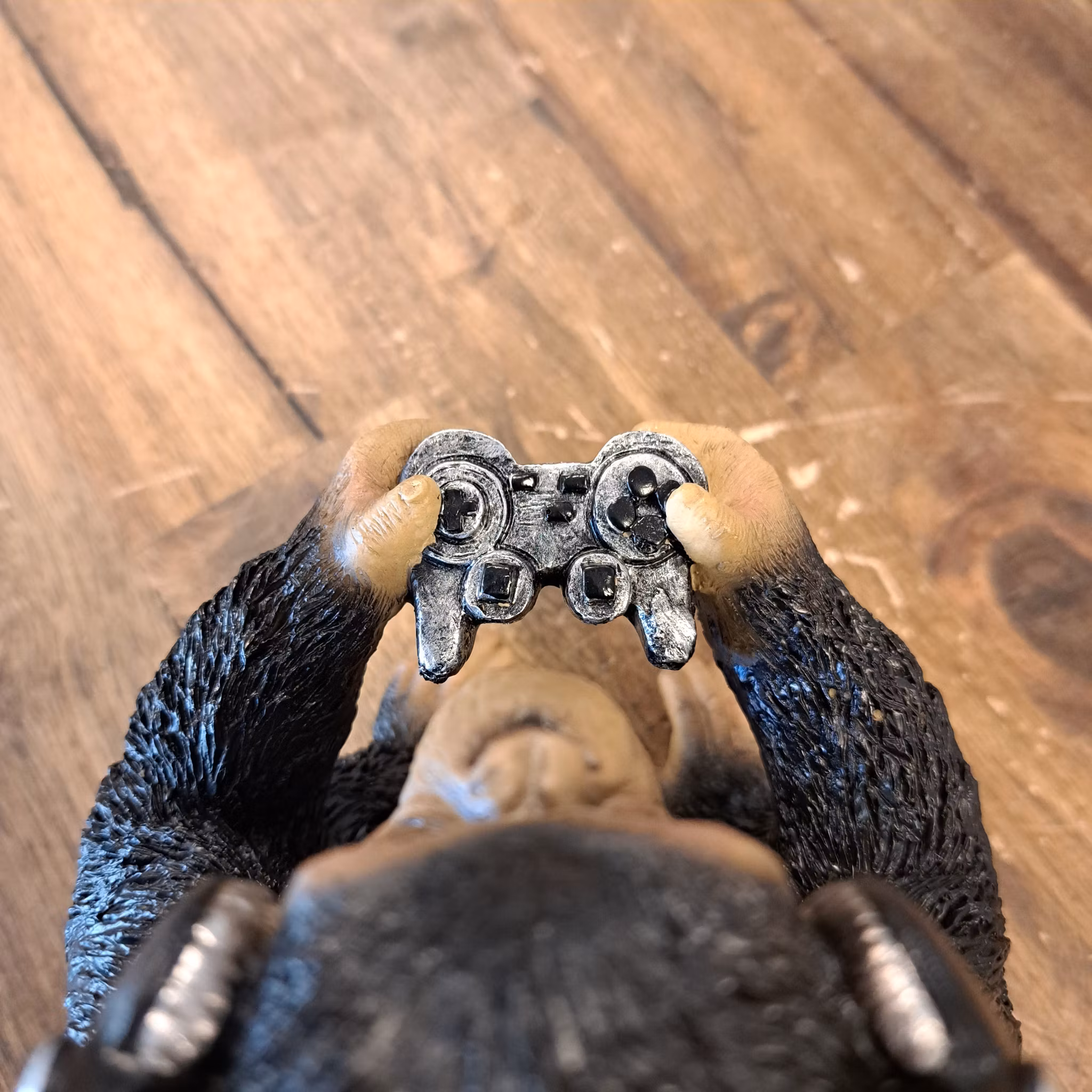 Legende chimpanse