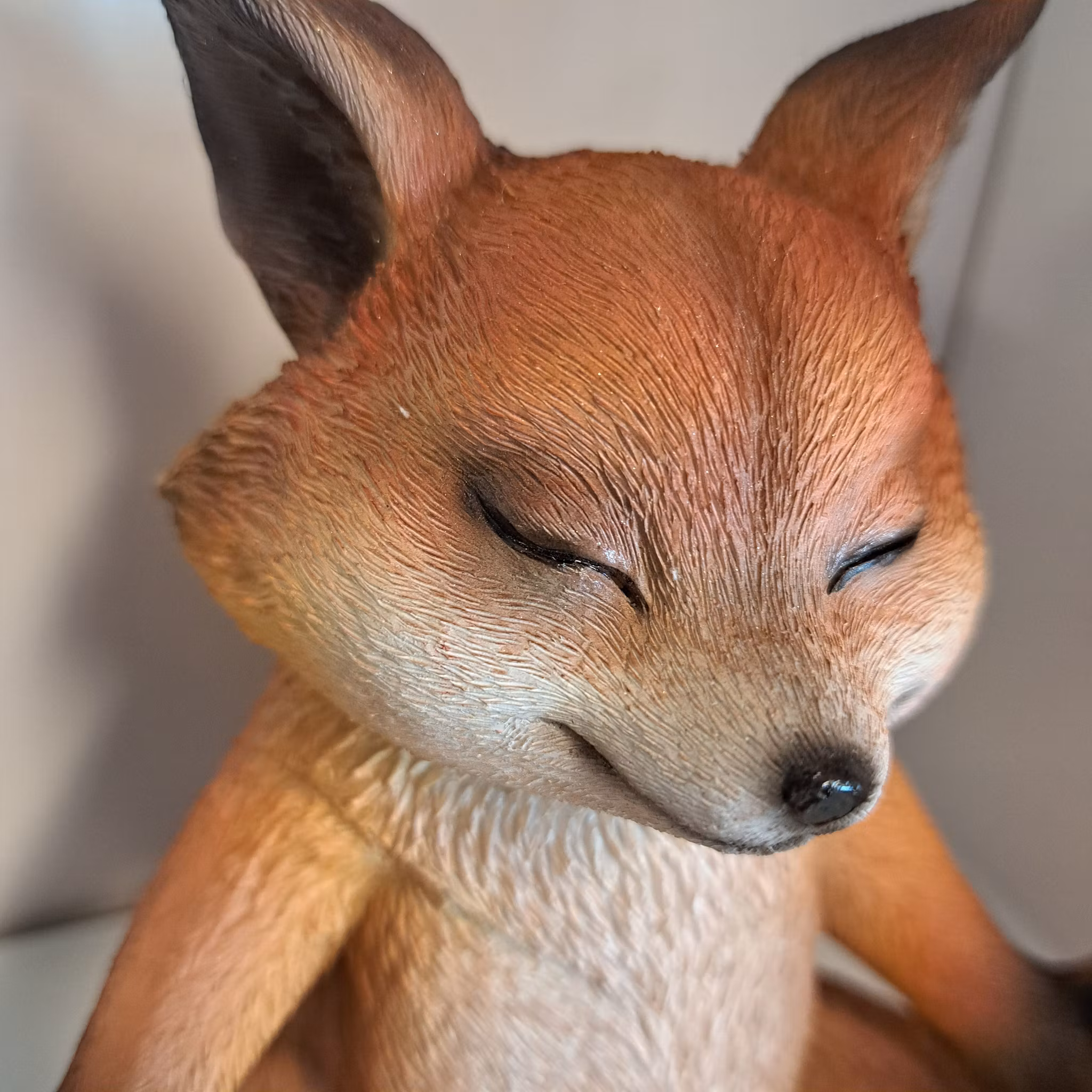 Fuchs-Yoga