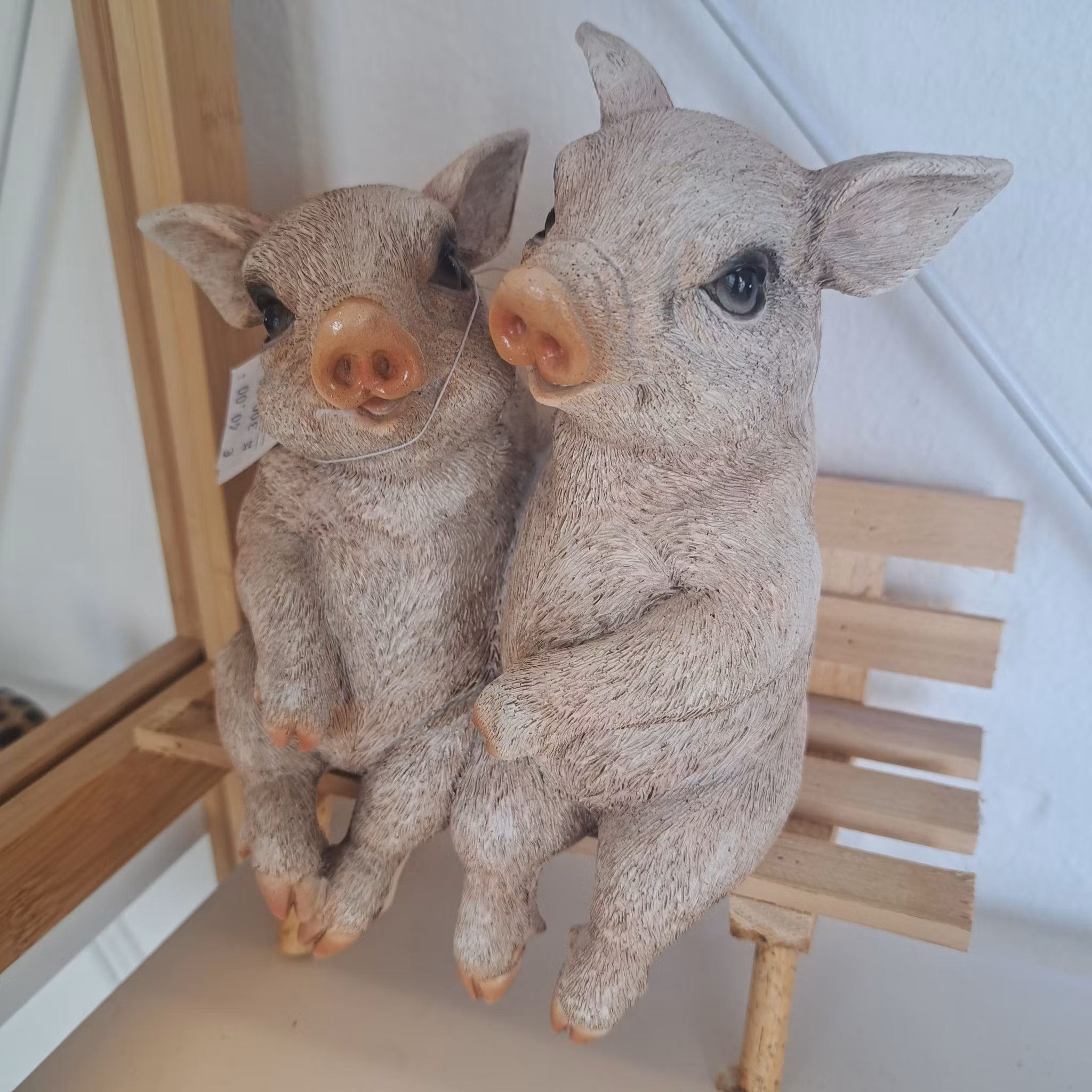 Grise på banken
