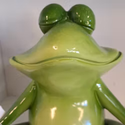 Yoga frø