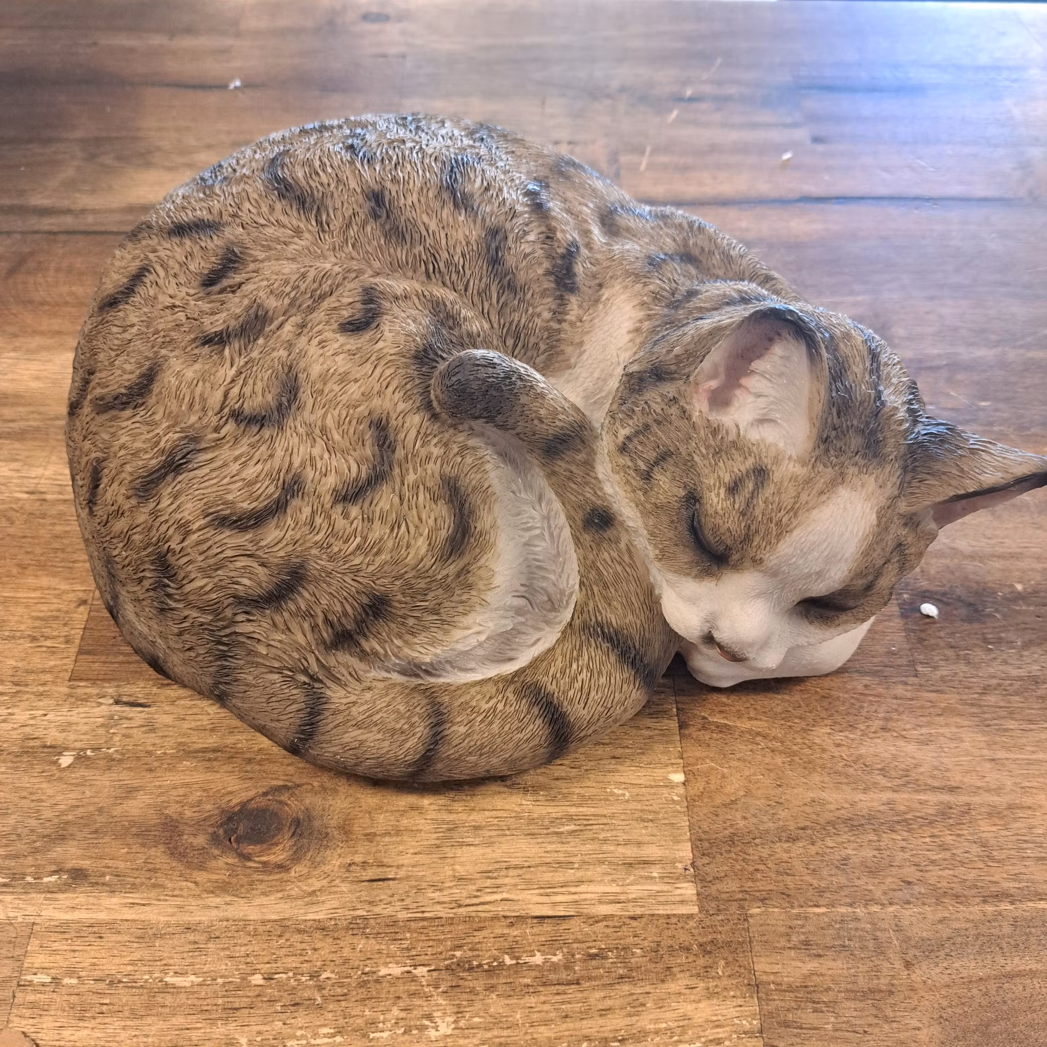 kat sover