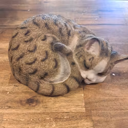 kat sover