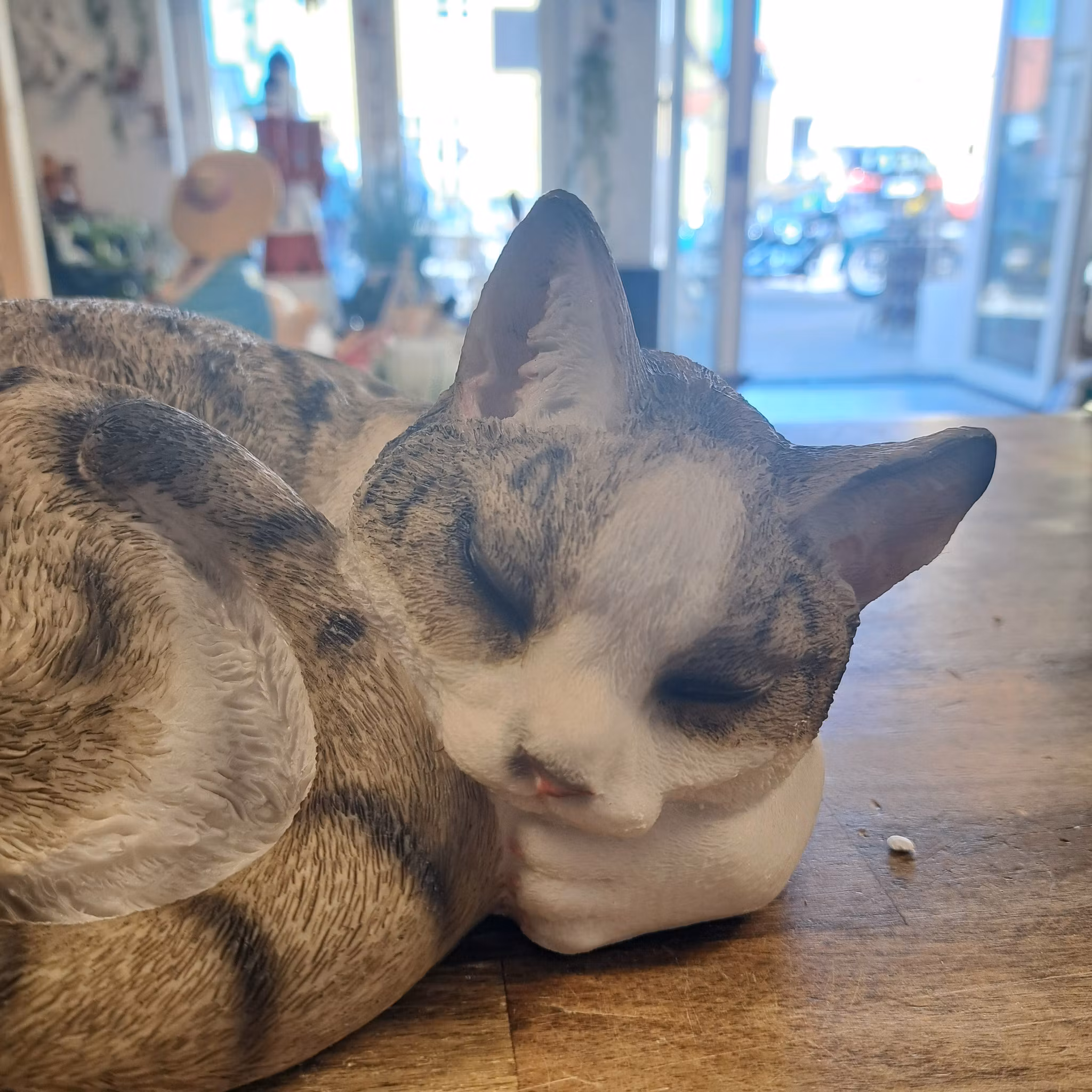kat sover