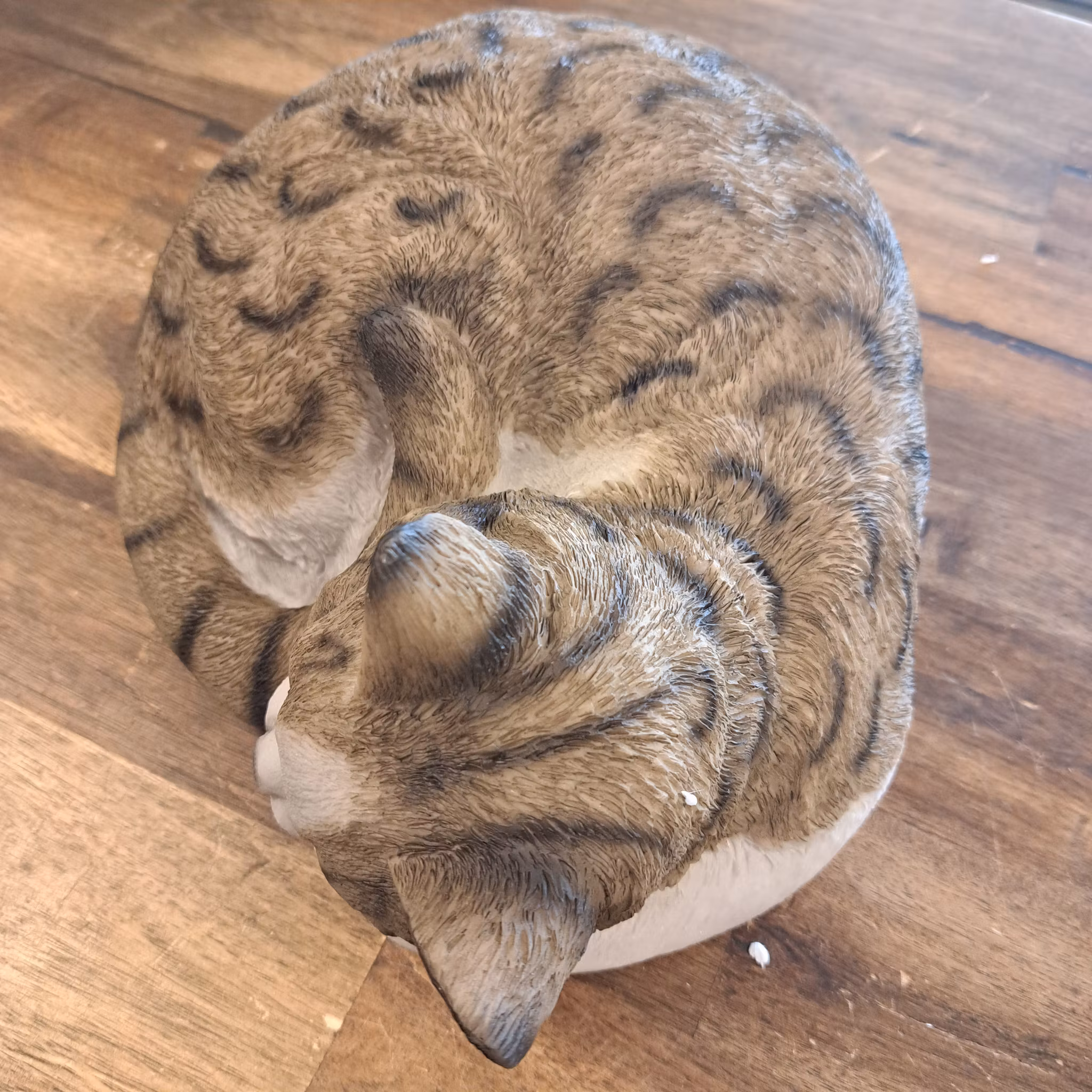 kat sover