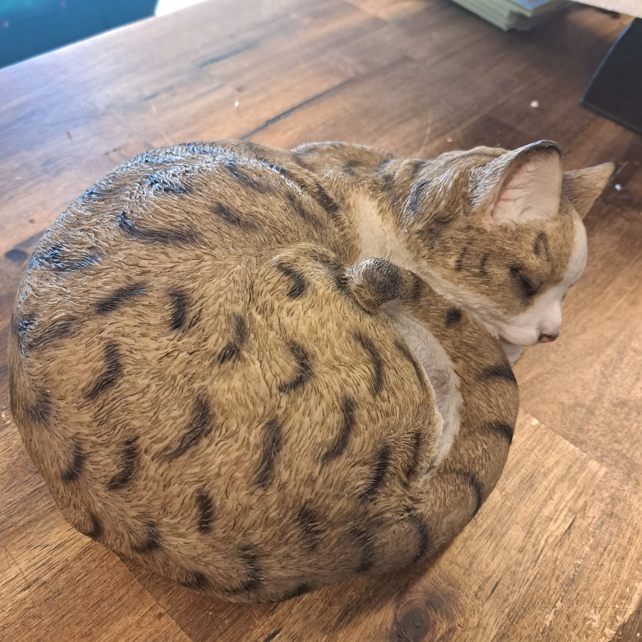 kat sover