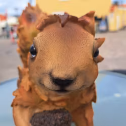 Ahorn Egern