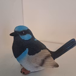 Fugl