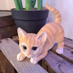 Legende kat rød