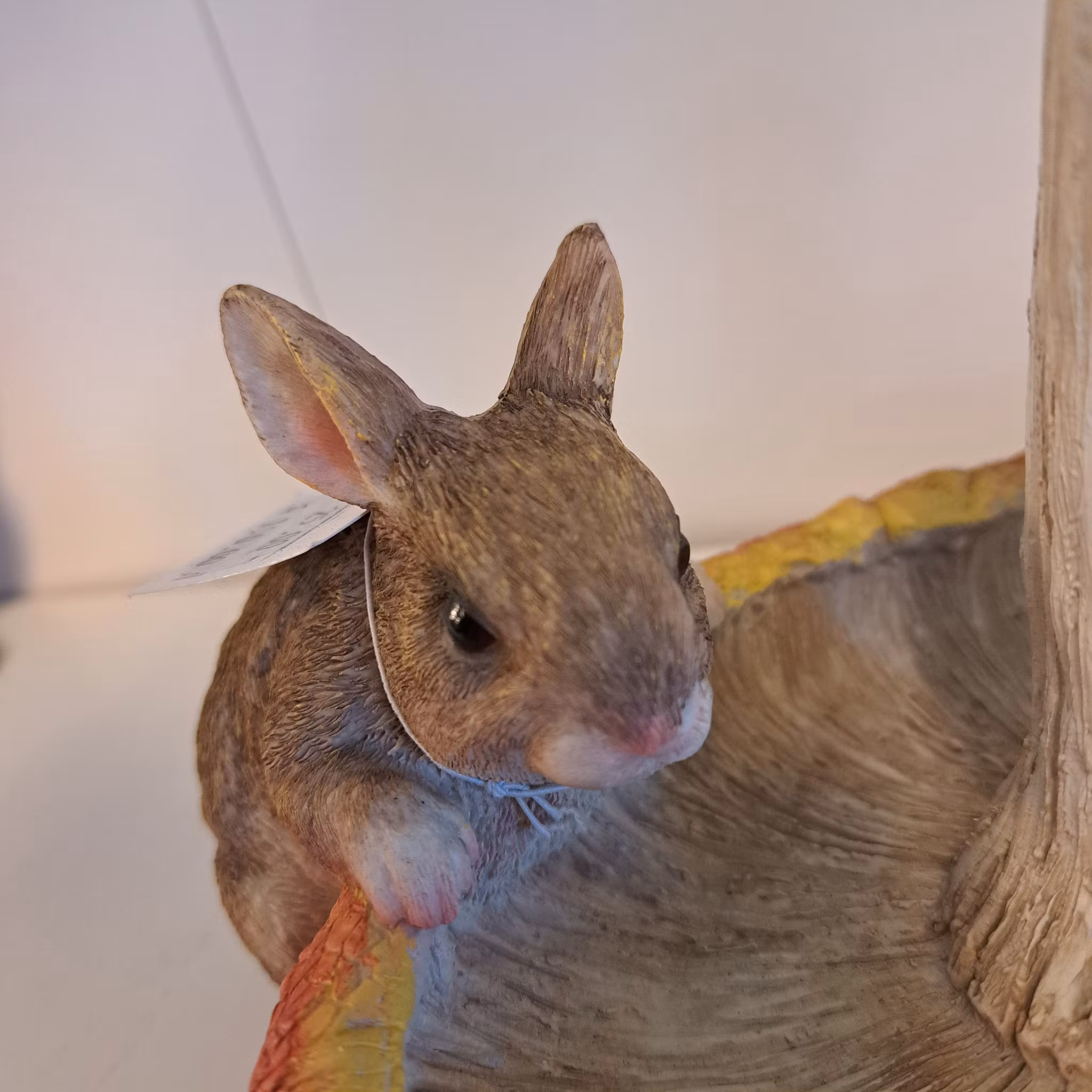 squirrel fuglebad